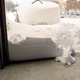 Illustration for article titled Coming to you live from Hoth! Its your snowy open thread!